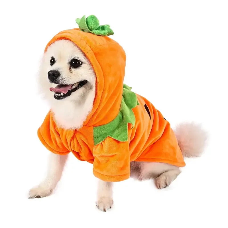 π Pumpkin Pup Hoodie