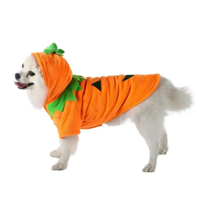 π Pumpkin Pup Hoodie