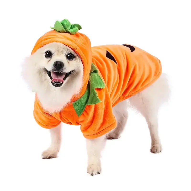 π Pumpkin Pup Hoodie