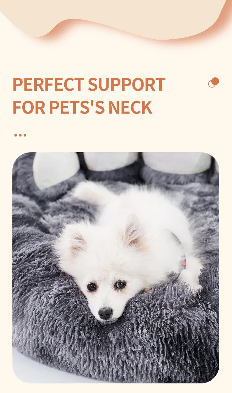 🛏️ Cosmic Paw Plush Bed