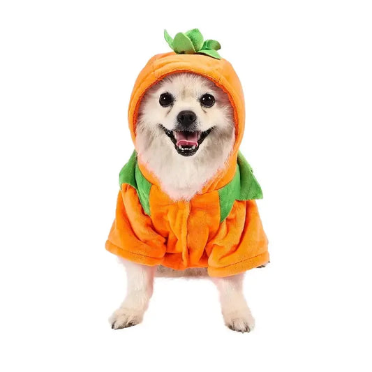🎃 Pumpkin Pup Hoodie