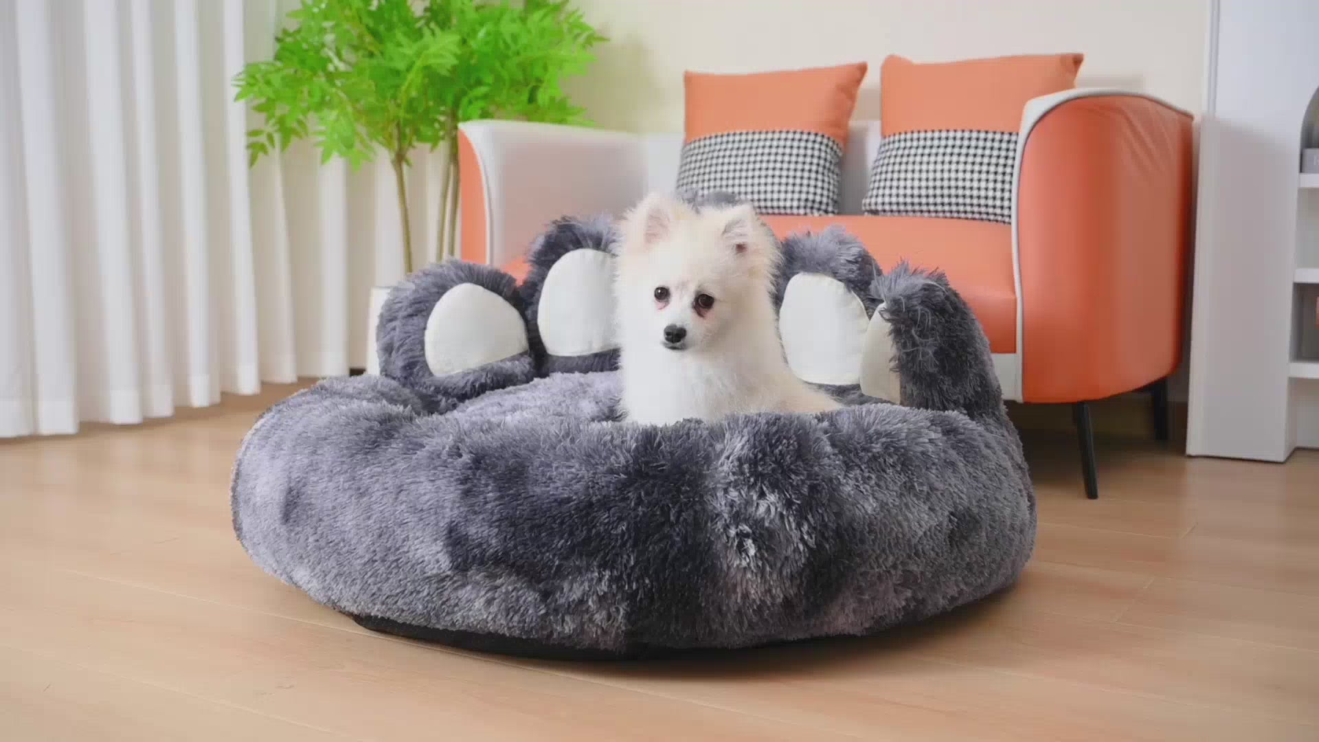 Load video: 