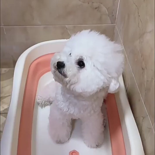 🧼 Cosmic Care Bath Brush